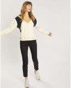 Sweat 100% Coton Bio Color block multicolore