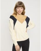 Sweat 100% Coton Bio Color block multicolore