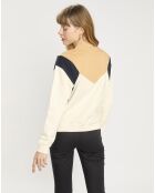 Sweat 100% Coton Bio Color block multicolore