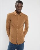 Chemise Regular Fit brodée allover marron clair