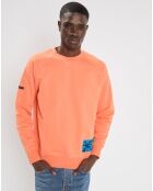 Sweat Raglan uni orange