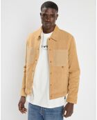 Blouson en peau suédine beige