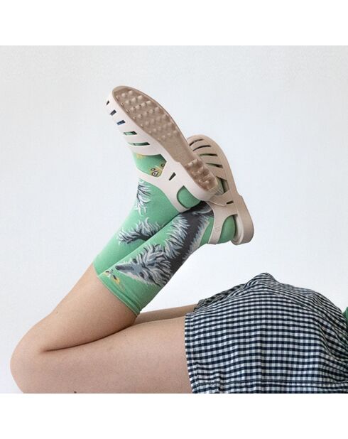 Chaussettes Chien Lichen multicolores