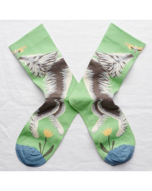 Chaussettes Chien Lichen multicolores