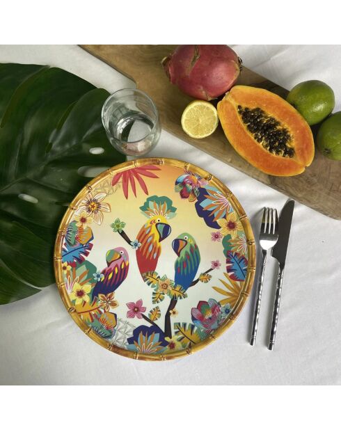 2 piatti grandi multicolori Bahia - D.28 cm