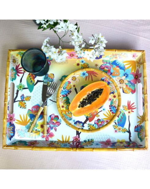 Grande vassoio Bahia multicolore - 50x36x5 cm