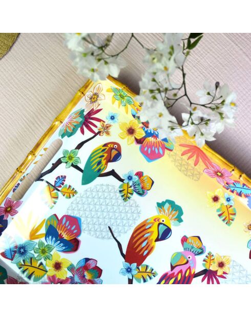 Grande vassoio Bahia multicolore - 50x36x5 cm