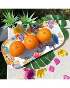 Piatto lungo multicolore Bahia - 50x36x5 cm