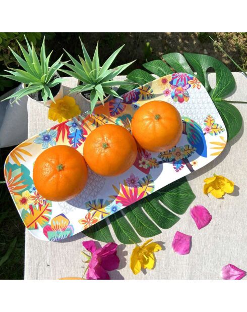 Piatto lungo multicolore Bahia - 50x36x5 cm