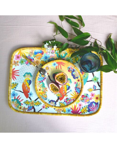 Vassoio rettangolare Bahia multicolore - 45x32 cm