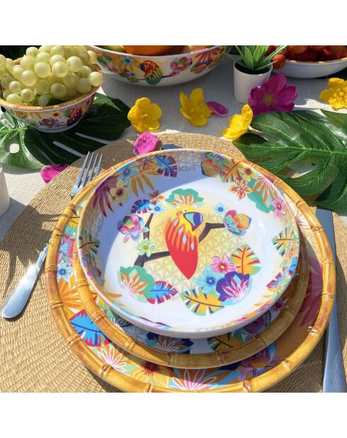 2 piatti da minestra Bahia multicolori - D.20 cm