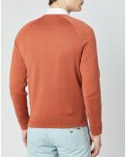 Pull col rond terracota