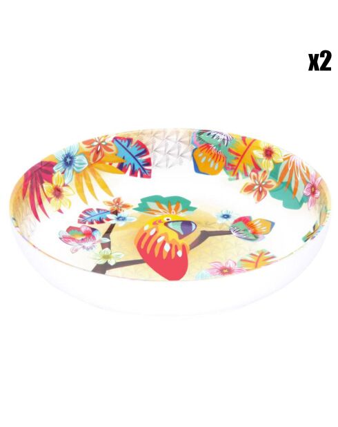 2 piatti da minestra Bahia multicolori - D.20 cm