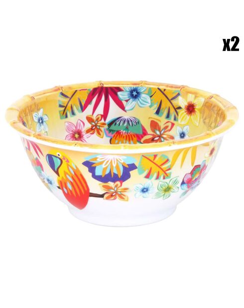 2 ciotole Bahia piccole multicolori - D.15 cm