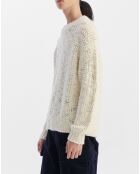 Pull en Laine mélangée lait