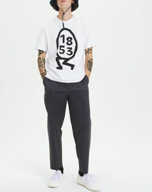 Pantalon en Coton mélangé charbon