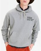 Sweat à capuche heather grey