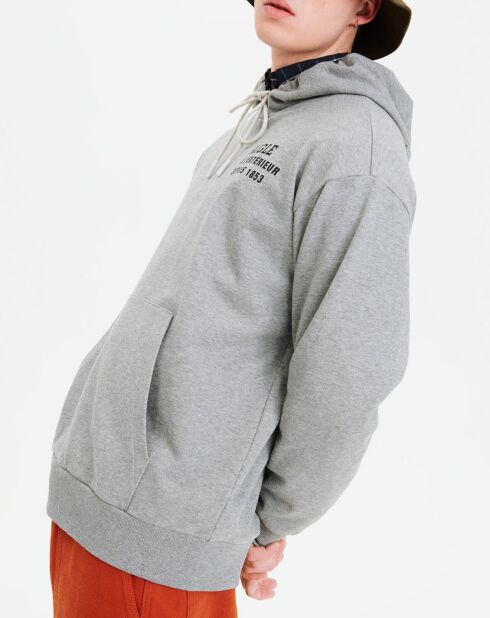 Sweat à capuche heather grey