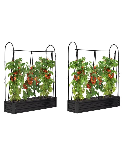 2 Serres de potager spéciales tomates en métal gris anthracite - 115x30x128 cm