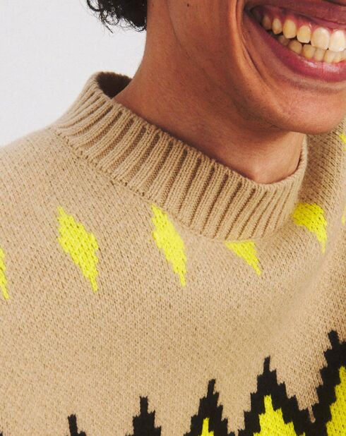 Pull en Laine mélangée Kapinem à motifs beige