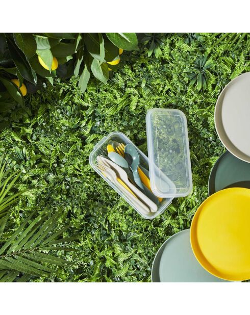 Set de 12 couverts vert/jaune