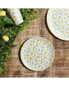 2 Assiettes plastique bain de soleil coloris aléatoire - D.20 cm