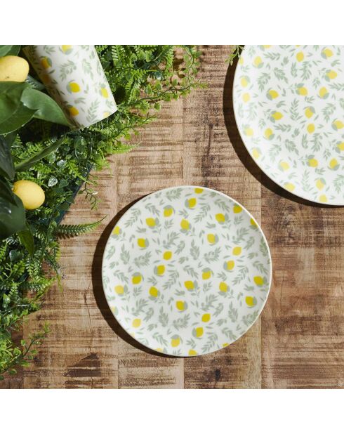 2 Sonnenbadeteller aus Kunststoff in zufälligen Farben - D.20 cm