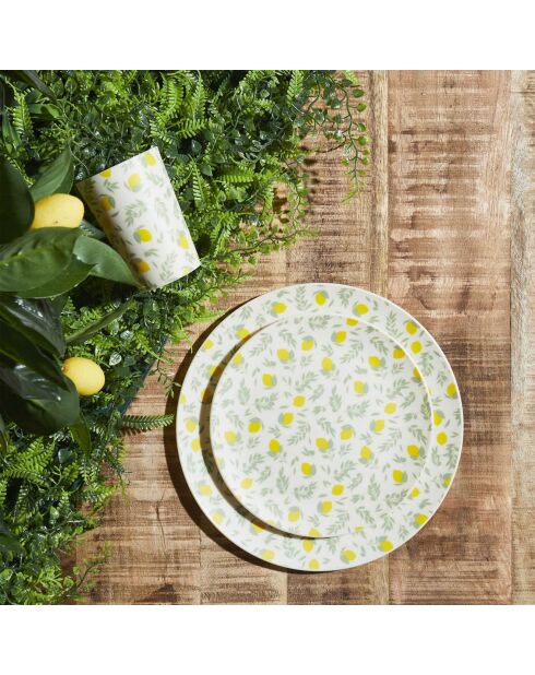 2 Sonnenbadeteller aus Kunststoff in zufälligen Farben - D.20 cm