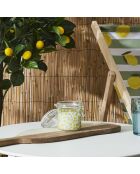 Vela de citronela en tarro para tomar el sol en colores aleatorios, 1 mecha, 25 h