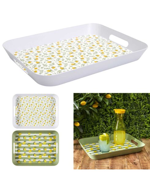 Plateau bain de soleil coloris aléatoire - 41x4.5x32 cm