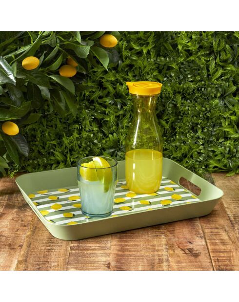 Plateau bain de soleil coloris aléatoire - 41x4.5x32 cm