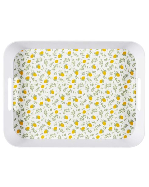 Plateau bain de soleil coloris aléatoire - 41x4.5x32 cm