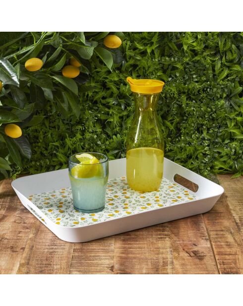 Plateau bain de soleil coloris aléatoire - 41x4.5x32 cm