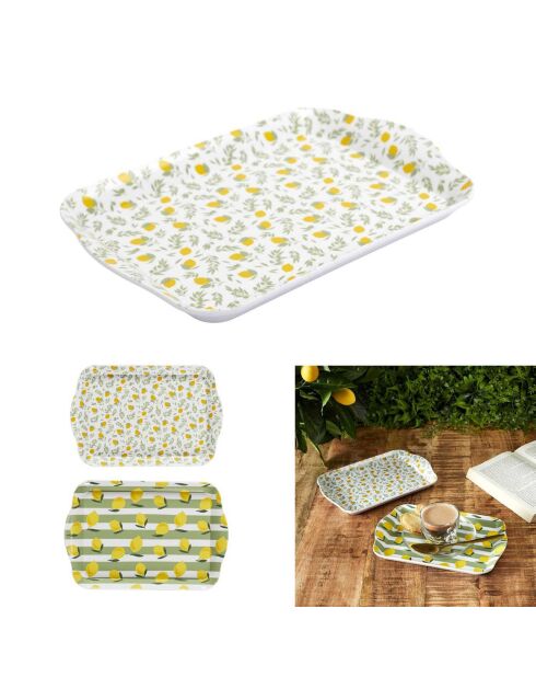 2 Plateaux bain de soleil coloris aléatoire - 21x2x14 cm