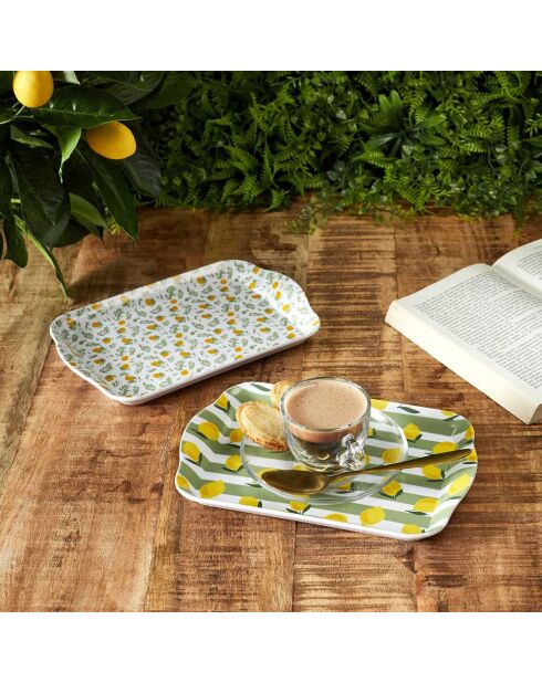 2 Plateaux bain de soleil coloris aléatoire - 21x2x14 cm