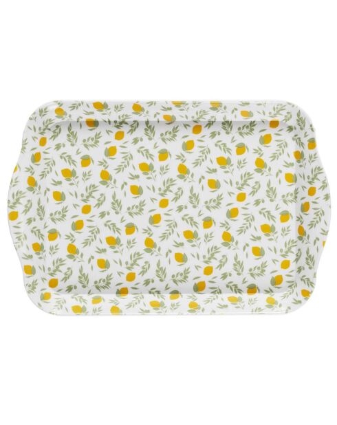 2 Plateaux bain de soleil coloris aléatoire - 21x2x14 cm