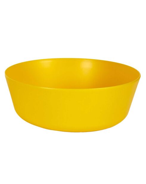 2 Saladiers plastique coloris aléatoire - 25x9x25 cm