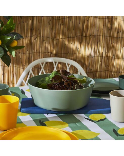 2 Saladiers plastique coloris aléatoire - 25x9x25 cm