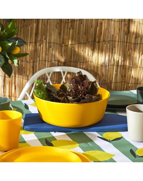 2 Saladiers plastique coloris aléatoire - 25x9x25 cm