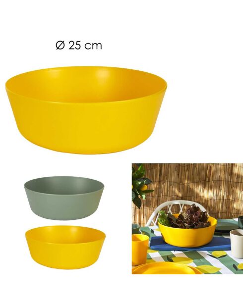 2 Saladiers plastique coloris aléatoire - 25x9x25 cm