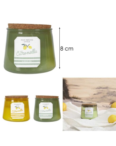 Candela alla citronella in vaso per prendere il sole in colori casuali - 2 stoppini 25h