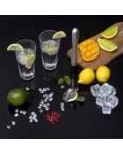 Set a mojito argenté/transparent - 26x23x23 cm