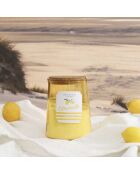 Bougie citronnelle pot bain de soleil coloris aléatoire - 3 mèches 75h