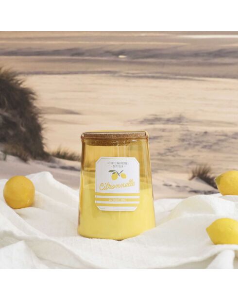 Bougie citronnelle pot bain de soleil coloris aléatoire - 3 mèches 75h