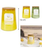 Bougie citronnelle pot bain de soleil coloris aléatoire - 3 mèches 75h