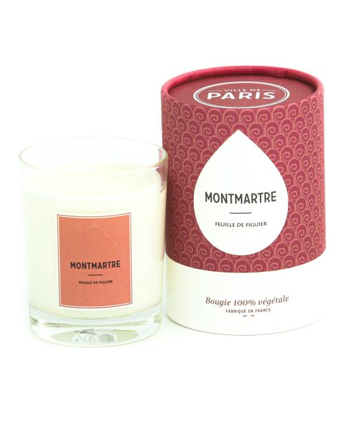 Bougie parfumée Paris Montmartre Feuille de figuier - 1mèche 45h
