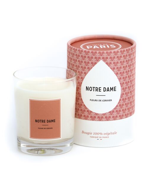 Bougie parfumée Paris Notre Dame Fleurs de cerisier - 1mèche 45h