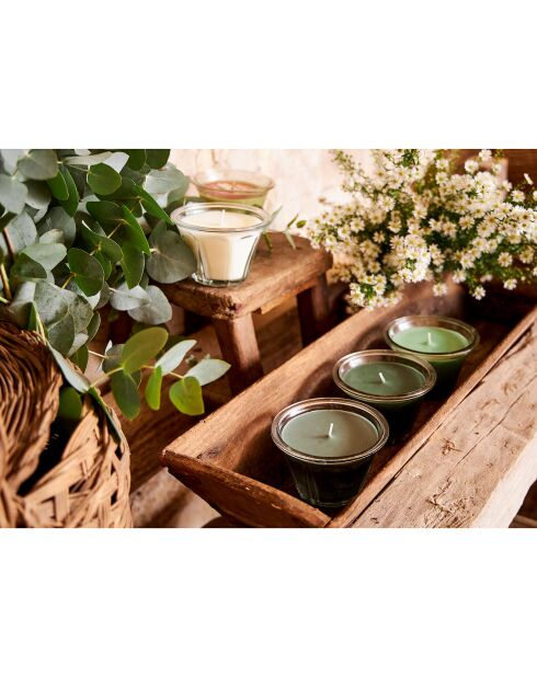 Bougie gourmande Sureau blanche - 1 mèche 45h