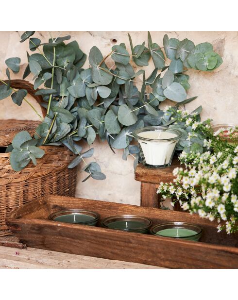 Bougie gourmande Sureau blanche - 1 mèche 45h