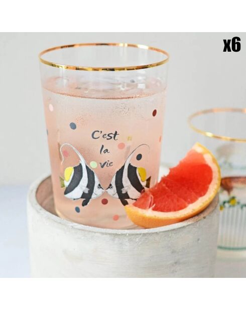 6 Verres cocktail Poisson transparents - 55cl